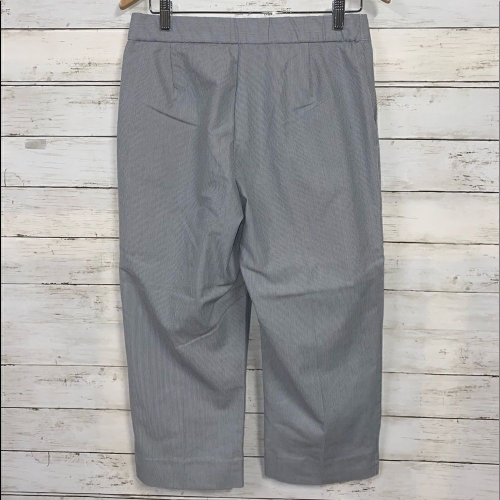 Pantology Cropped Pants - Picture 2 of 5